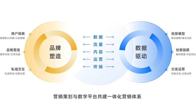 在线教育行业正经历着前所未有的变革,哪些公司成为了这一领域的“龙头”?让我们一起探索。